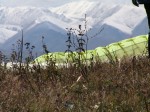 alma_aug_2005_055.jpg